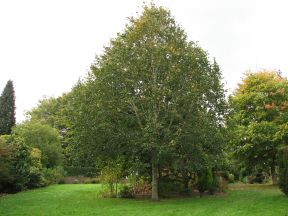 Greenwich Meridian Marker; England; West Sussex; East Grinstead